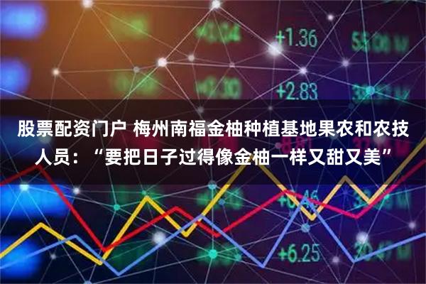 股票配资门户 梅州南福金柚种植基地果农和农技人员：“要把日子过得像金柚一样又甜又美”