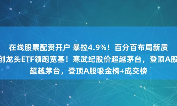 在线股票配资开户 暴拉4.9%！百分百布局新质生产力的——双创龙头ETF领跑宽基！寒武纪股价超越茅台，登顶A股吸金榜+成交榜