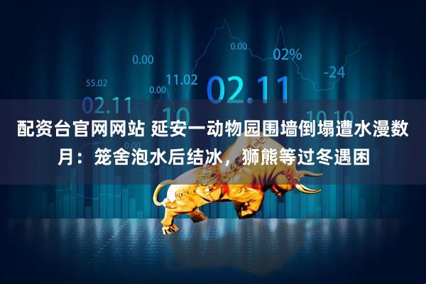 配资台官网网站 延安一动物园围墙倒塌遭水漫数月：笼舍泡水后结冰，狮熊等过冬遇困