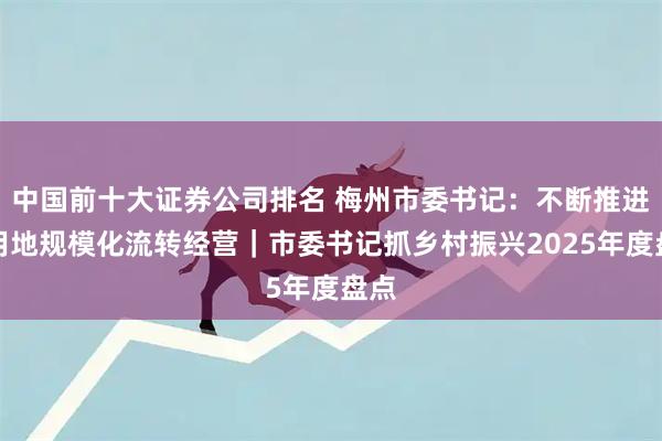 中国前十大证券公司排名 梅州市委书记：不断推进农用地规模化流转经营｜市委书记抓乡村振兴2025年度盘点